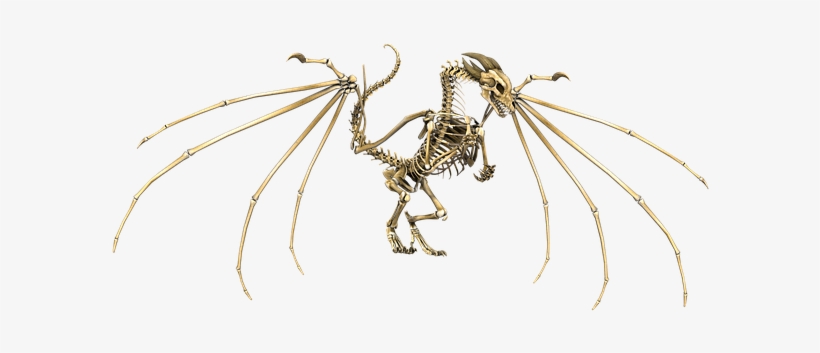 Dragon, Skeleton, Wings, Flying, Fantasy - Skeleton Wings, transparent png download