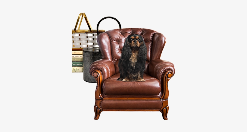 Leather Chair - Fridge Magnet P Calm And Love Your King Ch, transparent png download