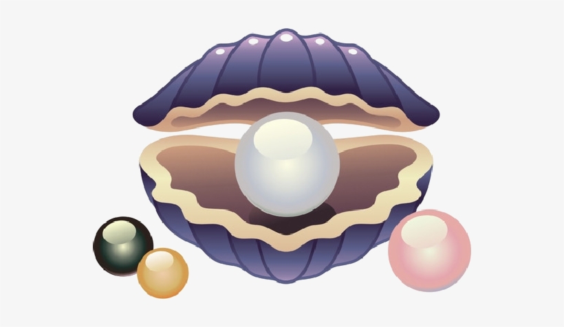 Coquillages - Cute Shell, transparent png download