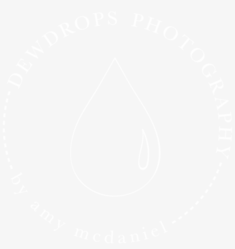 Samsung Logo White Png, transparent png download