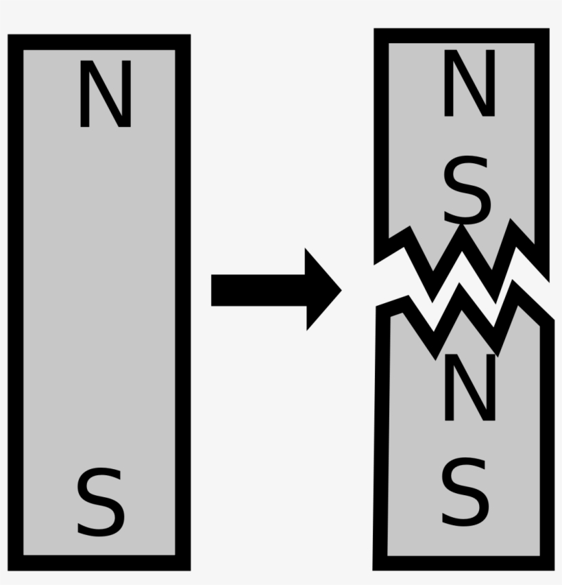 Monopole Magnet, transparent png download
