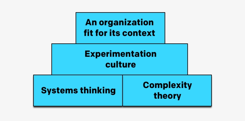 Complexity Theory Divides The World Into Four Domains - Organization, transparent png download