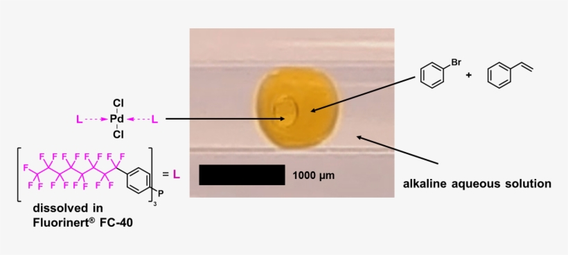 Micro Multiple Emulsions Offer The Possibility For - Organic Chemistry, transparent png download