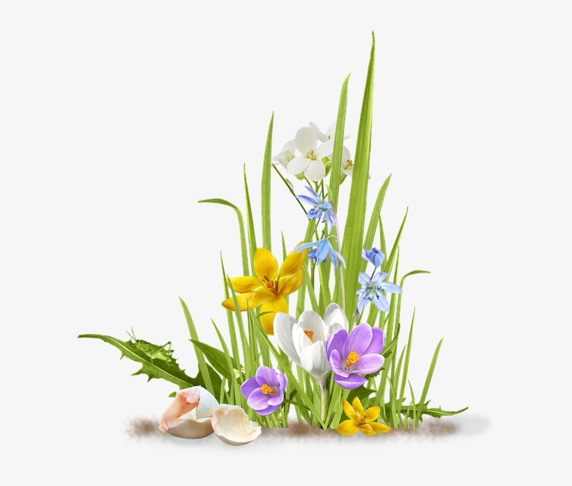 Spring, Flower, Crocus, Saffron, Grass, Shell, Egg - Grass And Flowers Png, transparent png download