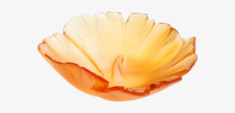 Ginkgo Small Bowl, transparent png download