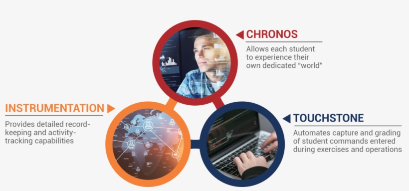 Ginkgo - Maidenhair Tree, transparent png download