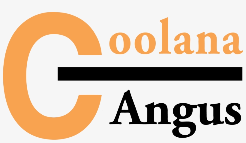 September 6 @ - Beautiful Quotes In English, transparent png download