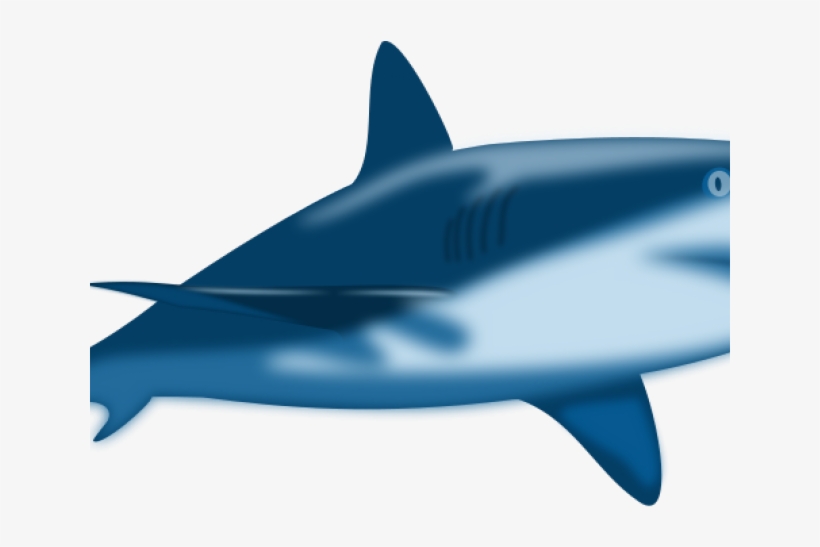 Great White Shark Clipart Baby - Custom Blue Bull Shark Shower Curtain, transparent png download