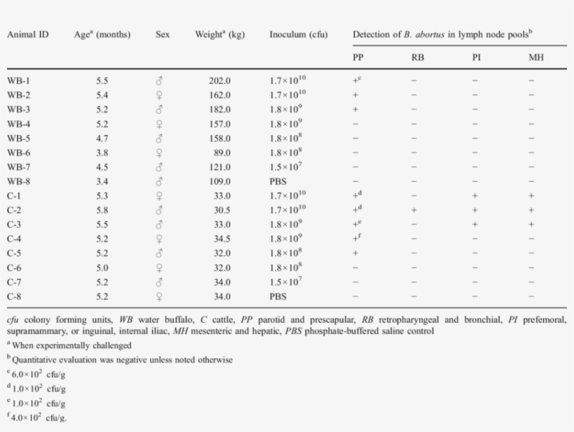 Of Recovery Of B - Brucella Abortus, transparent png download