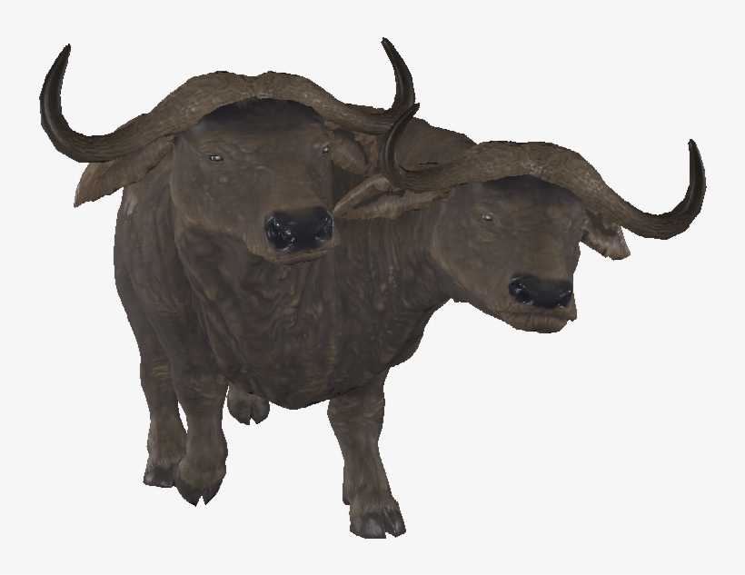 The Vault Fallout Wiki - The Vault, transparent png download