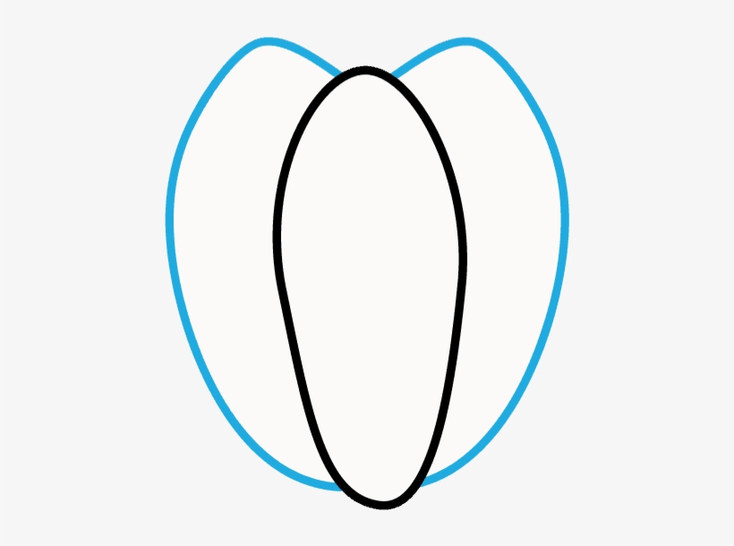 How To Draw Pumpkin - Drawing, transparent png download