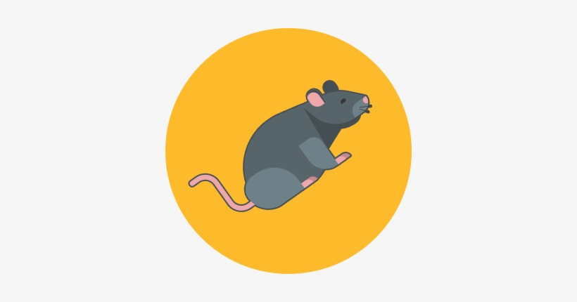 Circle-rat - Icon Enabling Growth, transparent png download