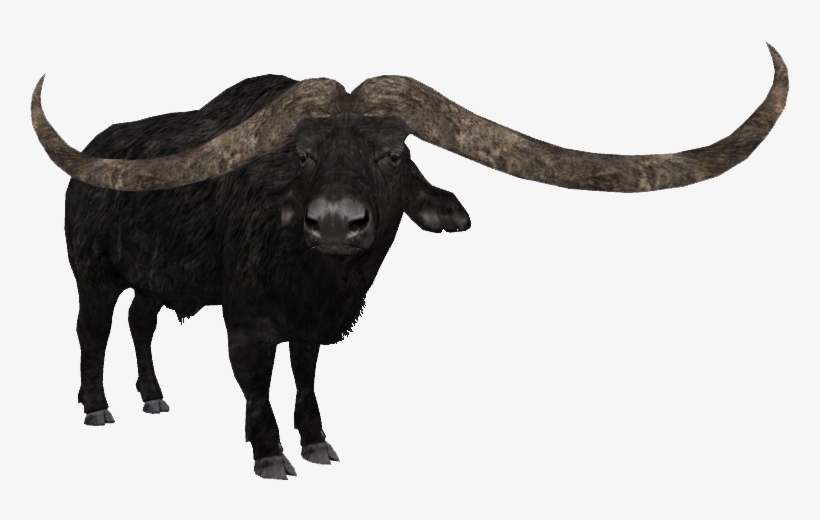 Pelorovis Antiquus - Zoo Tycoon 2 Aurochs, transparent png download