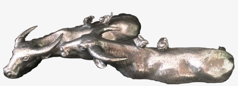 A Pair Of Buffalos - Water Buffalo, transparent png download