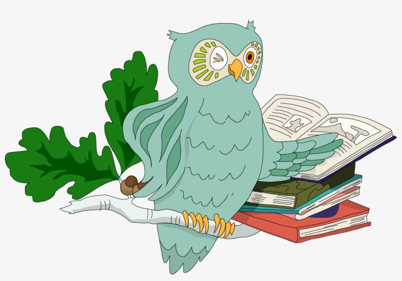 Chouette, Un Livre Le Blog De Madame La Chouette - Chouette Livre, transparent png download