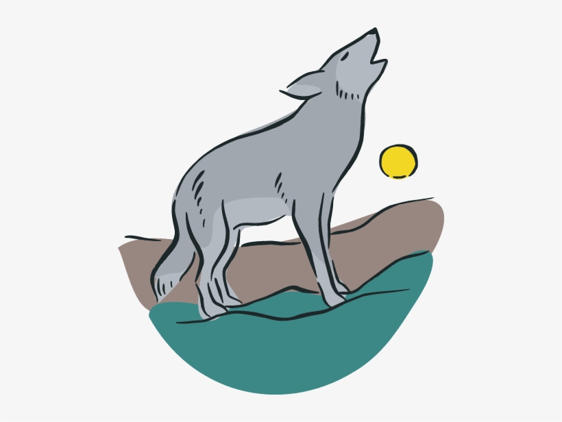 Dragonfly Tv From Pbskids Teens Zach And Gerit Take - Wolf, transparent png download