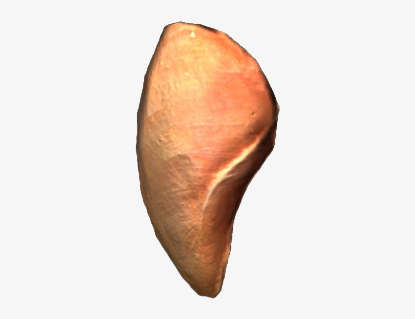 Raw Chicken Breast - Rotten Chicken Dayz, transparent png download