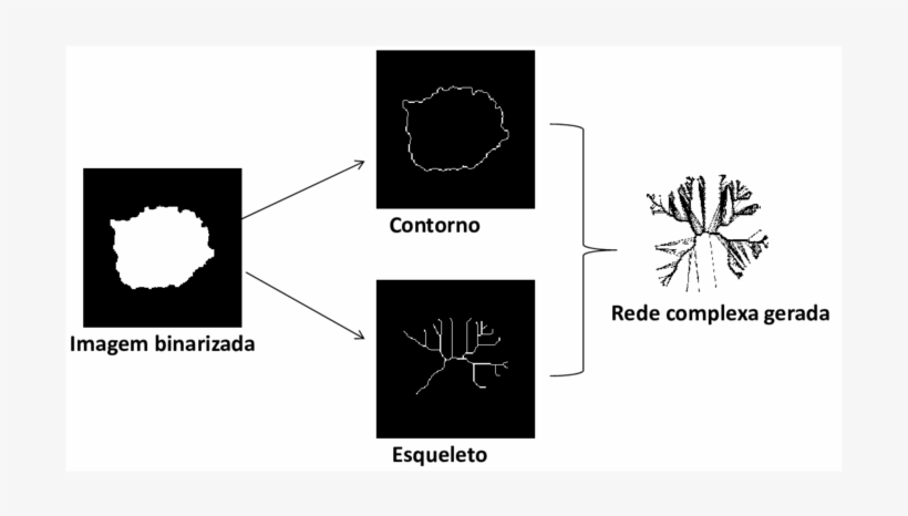 Rede Complexa Livre De Escala - Circle, transparent png download