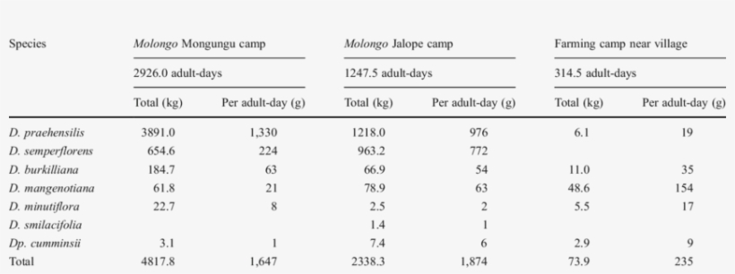 Harvested Wild Yams In Molongo Long-term Camps And - Number, transparent png download