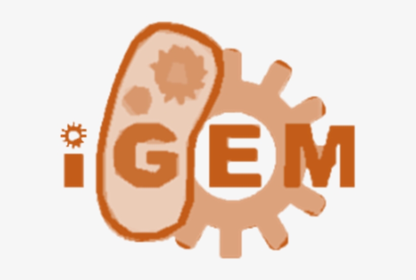 Bronze - International Genetically Engineered Machine, transparent png download