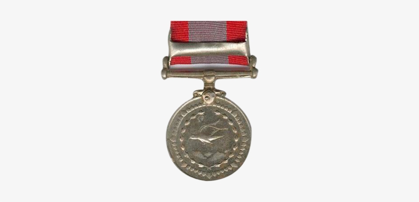 Special Seva Medal - India Special Service Medal, transparent png download