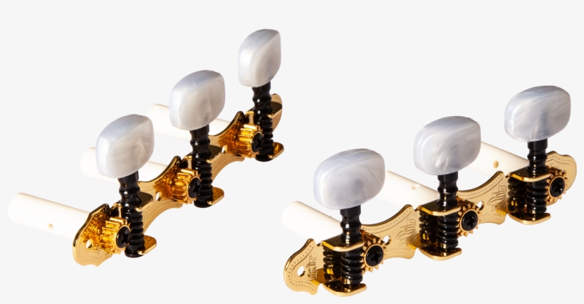 Still Life Photography, transparent png download