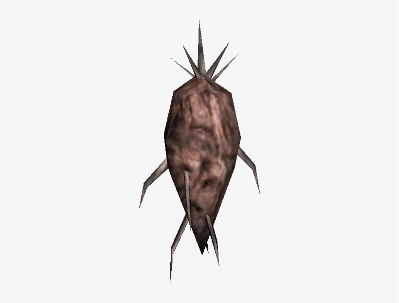 Ashyam - Beetle, transparent png download