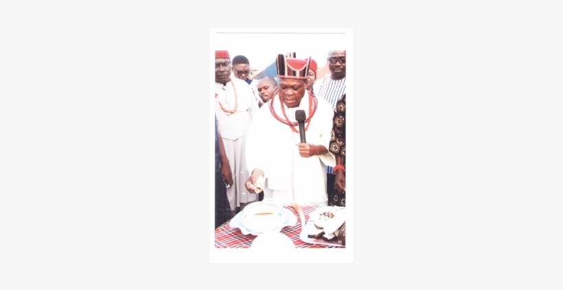 Yam, transparent png download