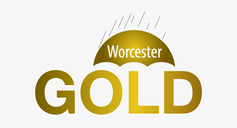 Worcester County Md Family Financial Support - Worcester County Gold, transparent png download