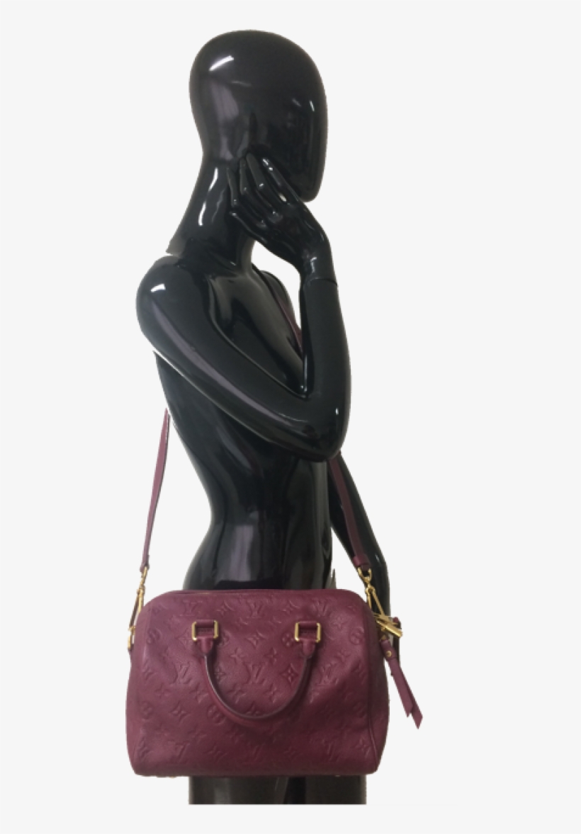 Louis Vuitton Speedy Raisin, transparent png download