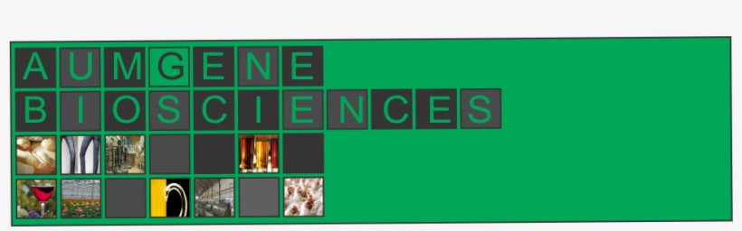 New Website Contact Us Banner - Wine, transparent png download