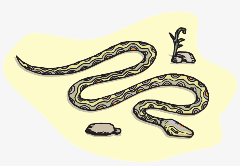 Free Vector Graphic - Desert Snakes Clipart, transparent png download