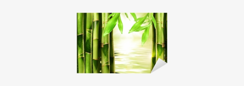 Vinilo Pixerstick Los Brotes De Bambú Apiladas En Una - Fotobehang - Bamboe En Zen, transparent png download