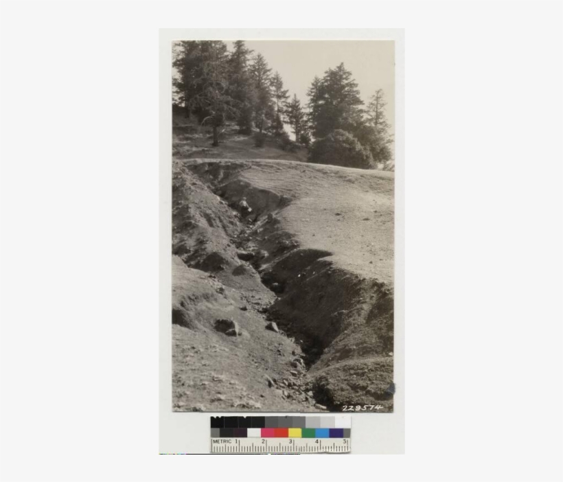 Erosion On Cleared And Heavily Sheeped Southerly Slope - Dirt Road, transparent png download