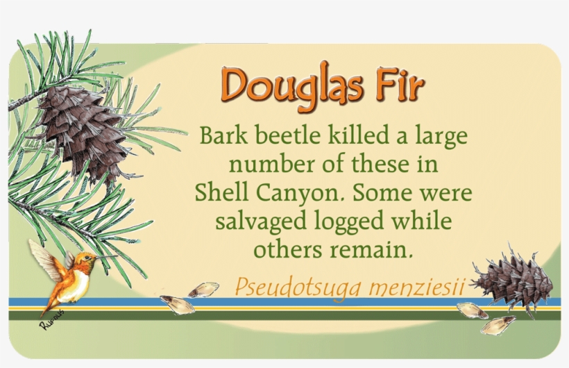 Image Of Plant Id Panel - Robert Pattinson Details Magazine, transparent png download