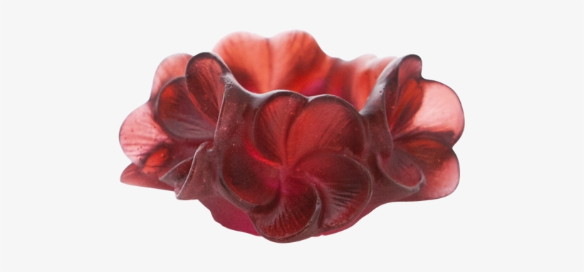 Plumeria Candle Holder, transparent png download