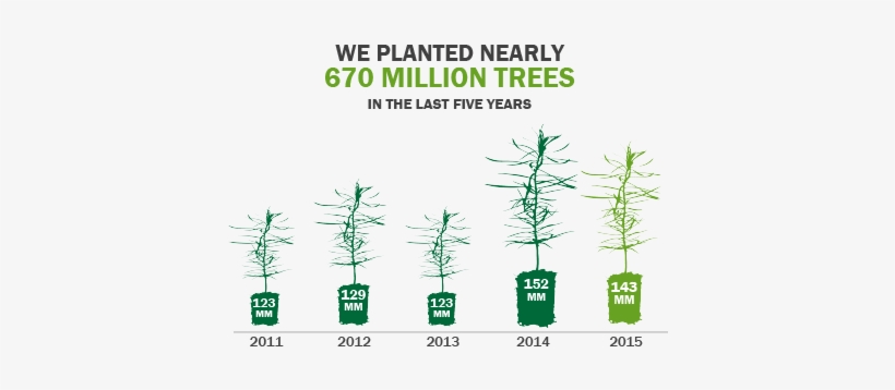 The Vast Majority Of Our Log Sales Are On A Delivered - Houseplant, transparent png download
