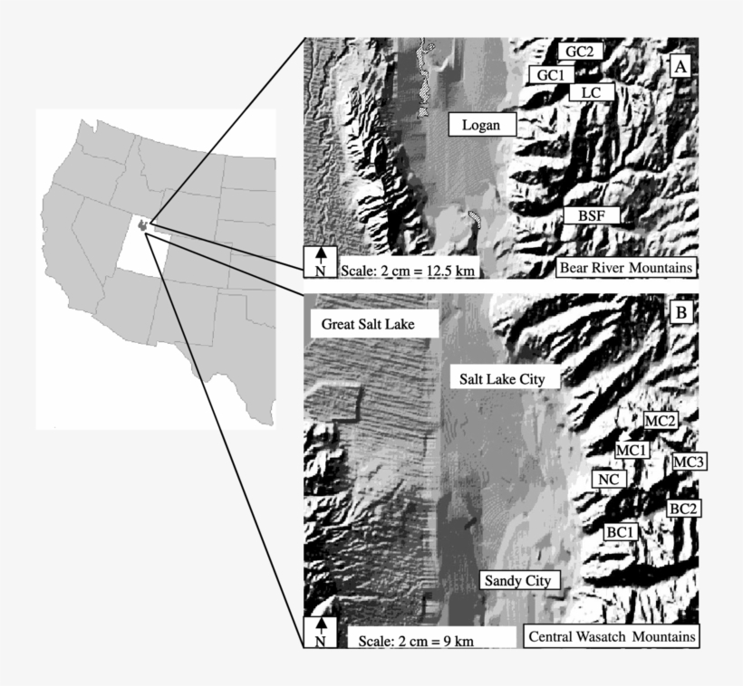 Douglas-fir Coring Sites In The Green (gc), Logan (lc), - Monochrome, transparent png download