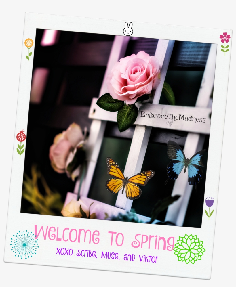 Happy Spring - Vintage Rosa Rose Auf Weißem Hölzernem Rahmen Postkarte, transparent png download