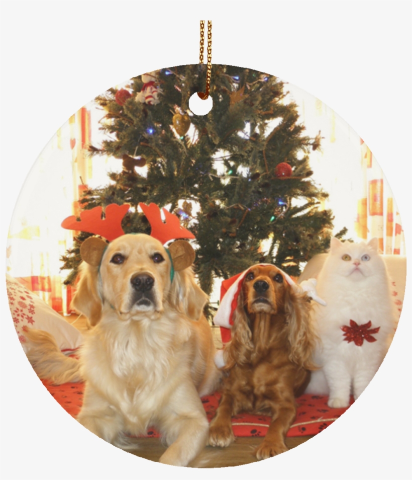 Pet Christmas Tree Ornament Cat Gift Crafted Holiday - Pet Safety On Holiday, transparent png download