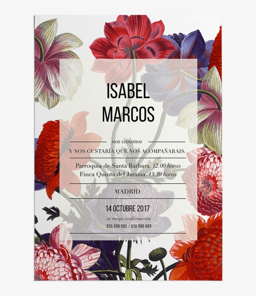 Inicio - Malva, transparent png download