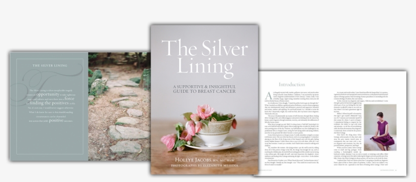 We're Sorry, We Are Out Of Books And No Longer Accepting - Silver Lining By Hollye Jacobs & Elizabeth Messina, transparent png download