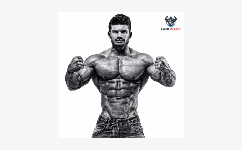 Bodybuilding Supplements & Genetics - Bodybuilding, transparent png download