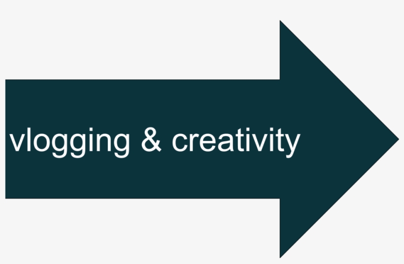 A Lot Of Us Engineers Have Creativity But It Is Not - Spectrum Of Serotonin Syndrome, transparent png download