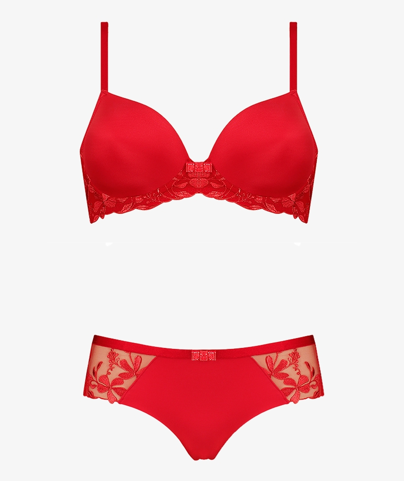 Our New Sexy Angel Spotlight Collection Also Features - Brassiere, transparent png download