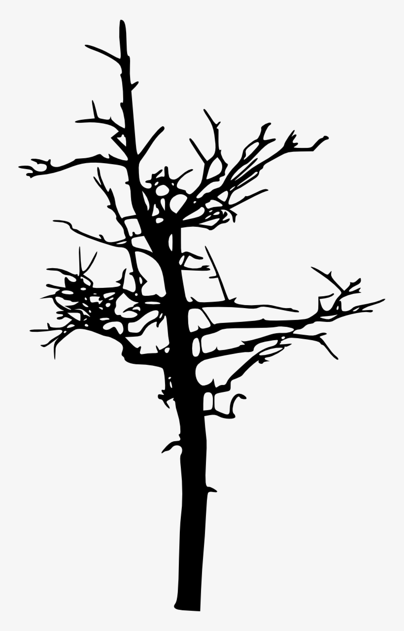 Free Download - Silhouette Tree Dead, transparent png download