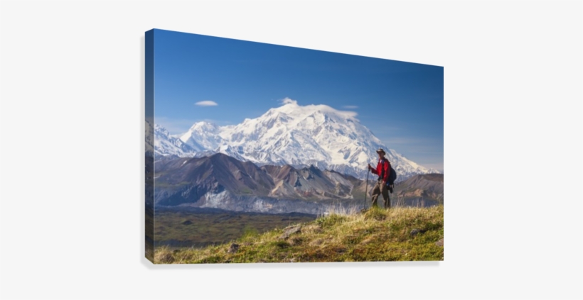 Hiker On A Hillside In Front Of Mt - Muldrow Glacier Denali, transparent png download