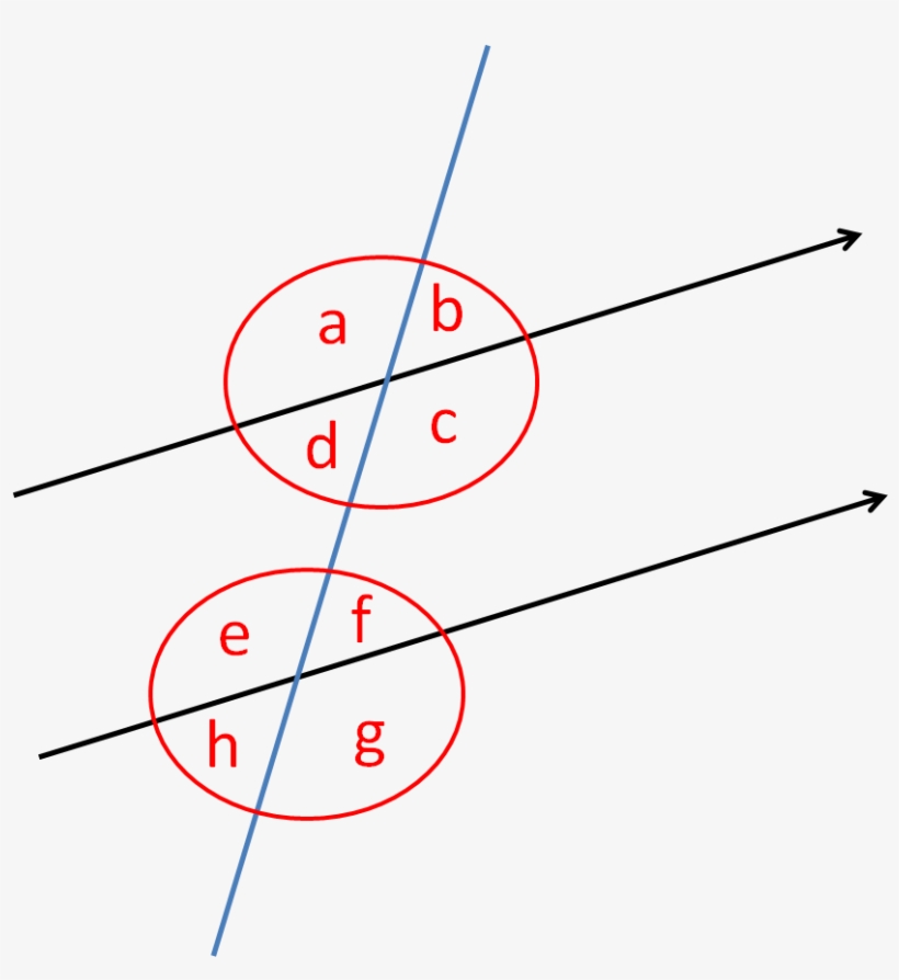 Angles On Parallel Lines - Angle, transparent png download