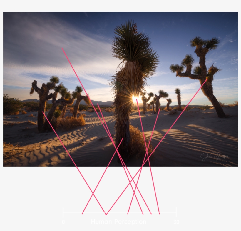 How Our Eyes And Mind Work Together To Perceive A Scene - Singing Sand, transparent png download