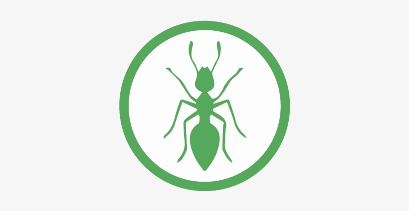 Hormiga - Ant, transparent png download